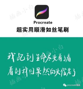 12款日常文字书写procreate笔刷【0121】-procreatechahua