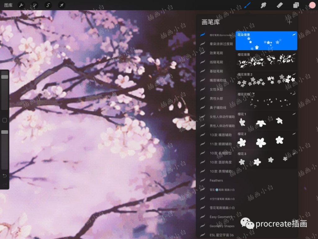 图片[2]-5款procreate樱花笔刷【0124】-procreatechahua