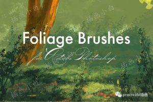 34款森林植物叶子元素ps笔刷【0182】-procreatechahua