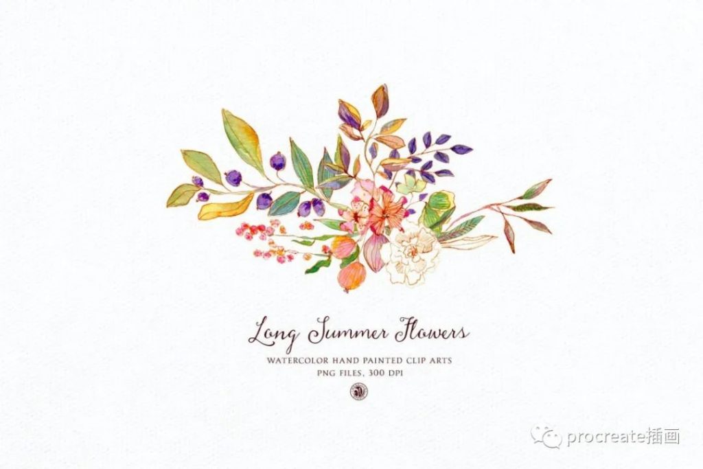 图片[2]-时尚简约清新手绘水彩水墨水粉植物花朵花卉插画大集合​【0234】-procreatechahua