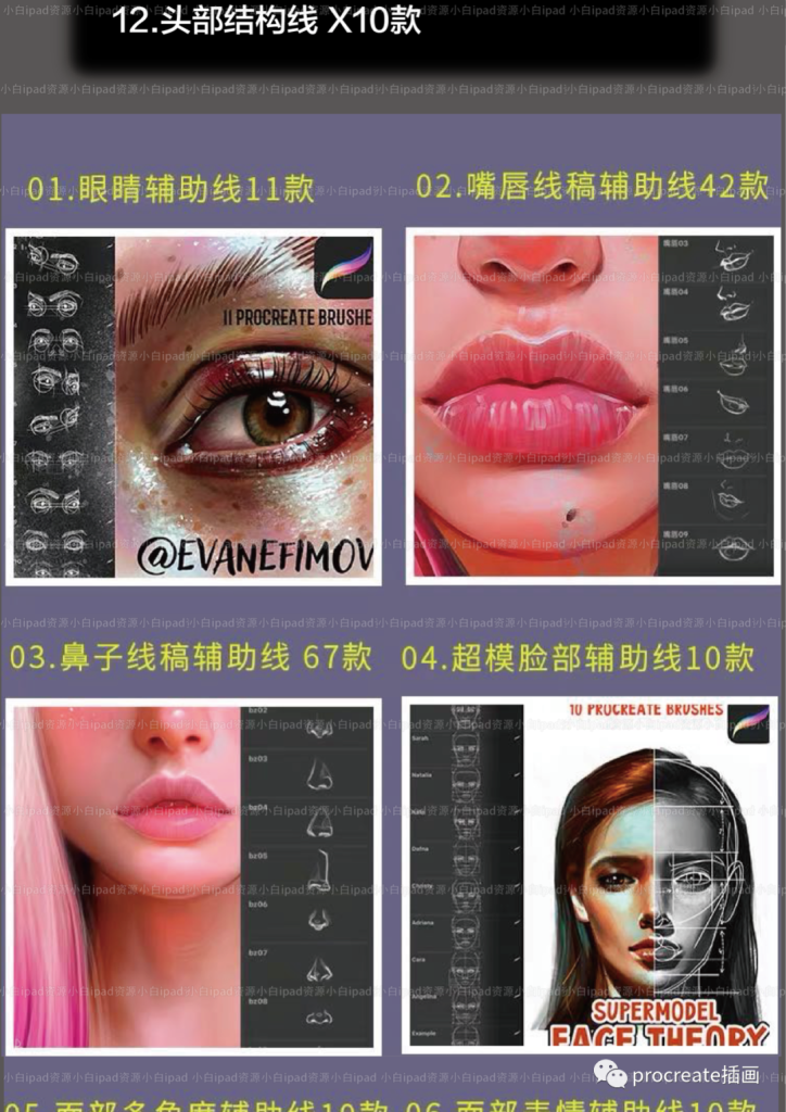 图片[2]-全套Procreate人像辅助线笔刷【0210】-procreatechahua