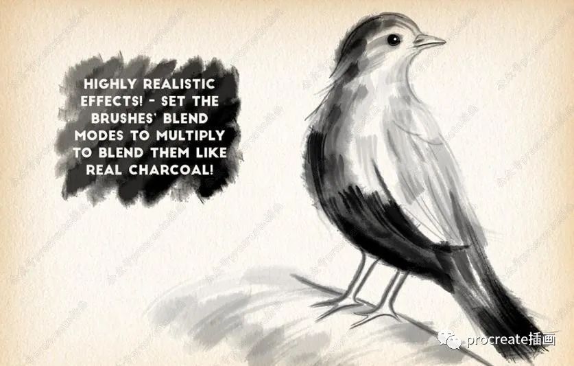 图片[2]-33个适用于Adobe illustrator的木炭粉彩绘画纹理效果笔刷【0260】-procreatechahua