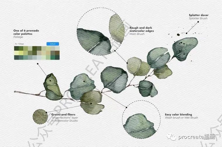 图片[2]-Procreate水彩质感笔刷套装【0297】-procreatechahua