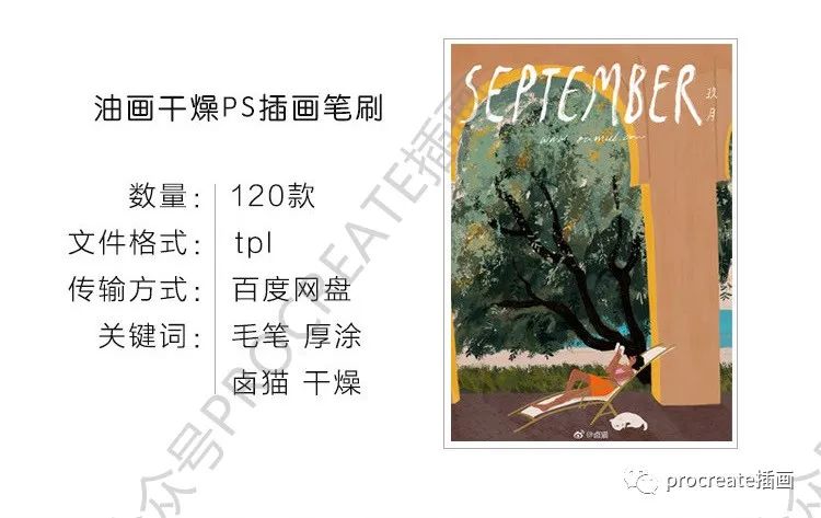 图片[2]-卤猫ps笔刷120枚【0309】-procreatechahua