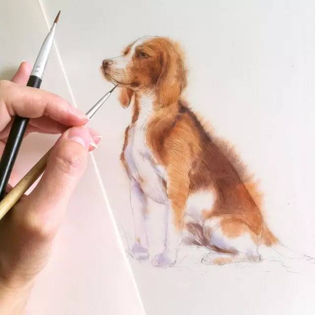 水彩手绘教程入门+进阶教程（基础21课时+进阶32课时）【0337】-procreatechahua