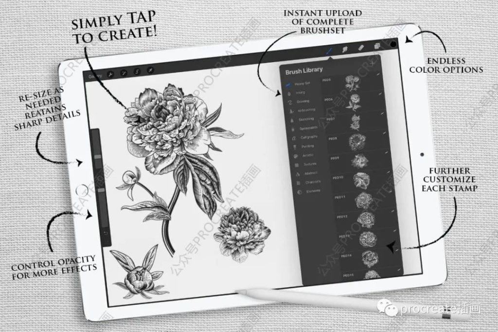 图片[2]-复古牡丹花卉Procreate印章笔刷套装【0410】-procreatechahua