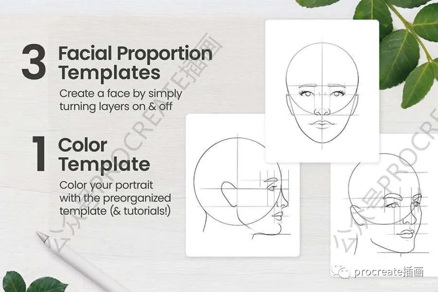 图片[2]-人物肖像插画的Procreate笔刷和辅助图形素材包【0466】-procreatechahua