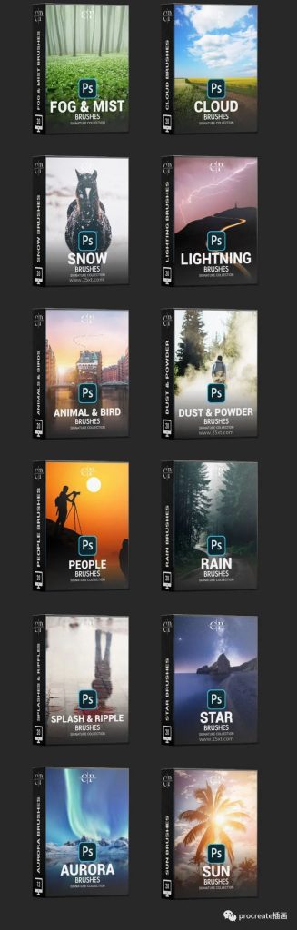 图片[2]-12套风景摄影照片添加特效的PS笔刷【0520】-procreatechahua