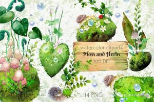 森林苔藓植物和蜗牛蘑菇小草png插画素材【0536】-procreatechahua