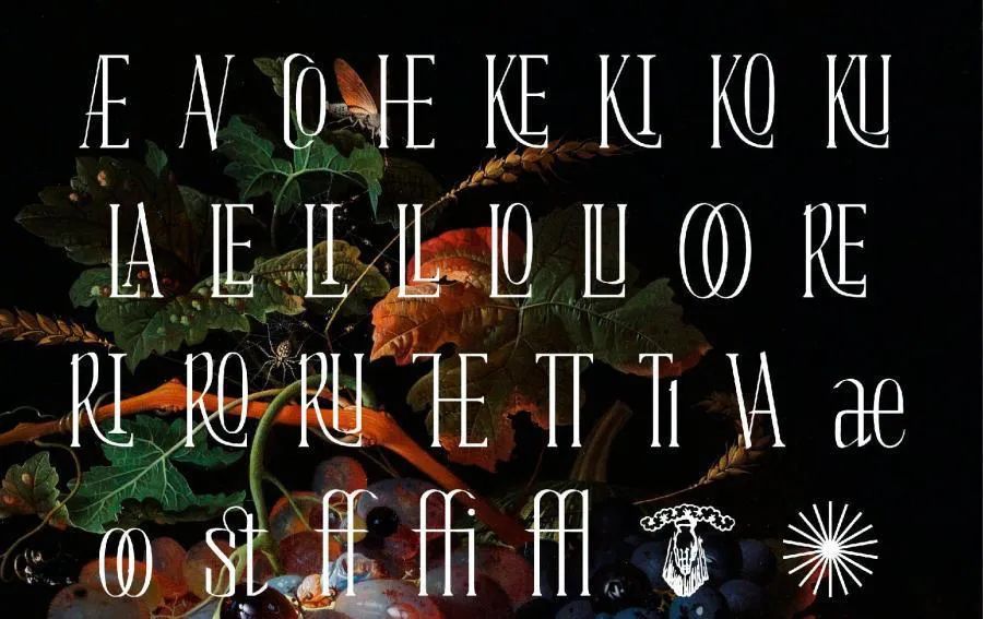 图片[2]-优雅的杂志标题英文衬线字体【0636】-procreatechahua