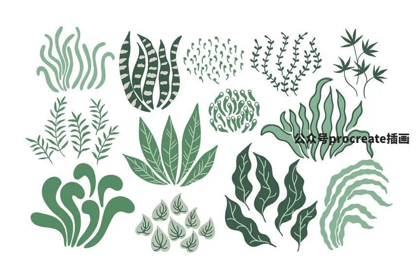 图片[2]-现代抽象的植物花卉元素矢量插画素材包【0680】-procreatechahua