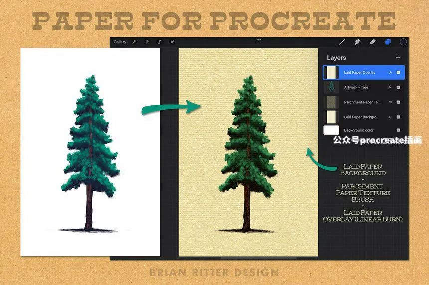 图片[2]-Procreate纸质画笔和Procreate纸质画布素材【0695】-procreatechahua
