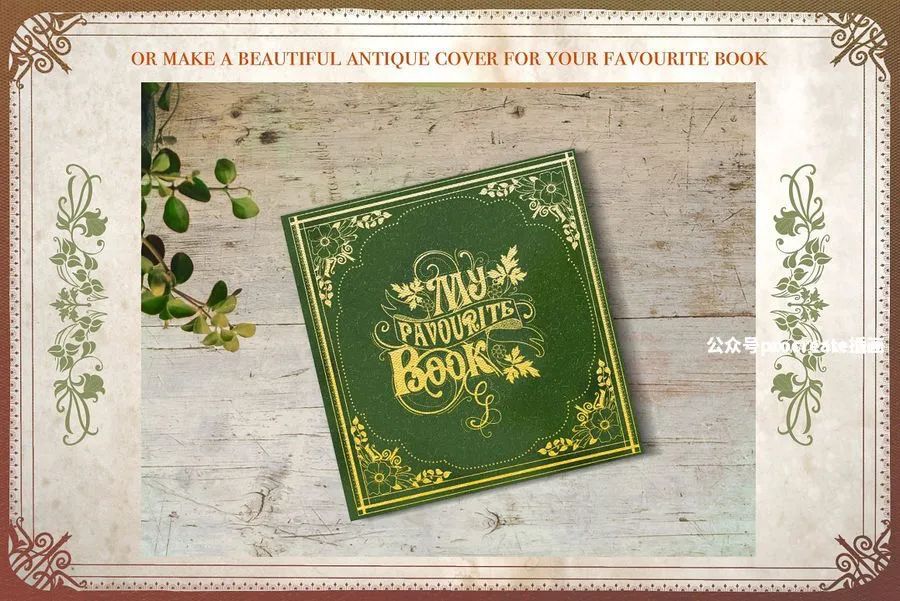 图片[2]-华丽复古的中世纪巴洛克风格装饰图案procreate笔刷【0743】-procreatechahua