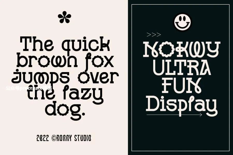 图片[2]-顺滑流畅极具设计感的英文衬线字体【0792】-procreatechahua