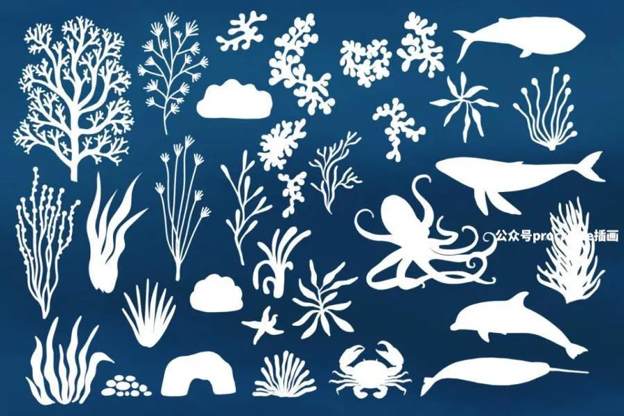 图片[2]-80款海底世界海洋生物海藻类图案Procreate笔刷【0807】-procreatechahua