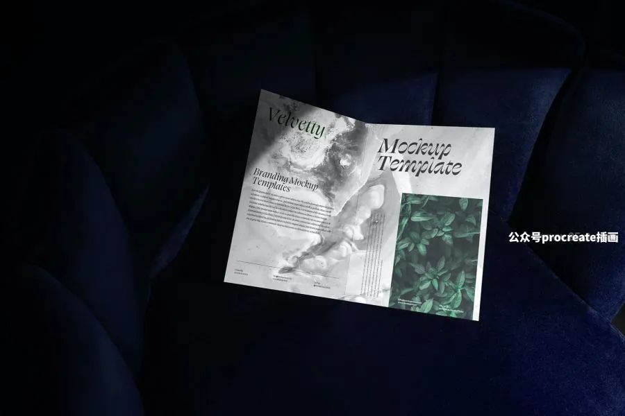图片[2]-天鹅绒系列奢华的品牌VI系统印刷展示设计的样机模板【0817】-procreatechahua