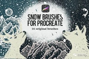 用于Procreate的雪花效果笔刷【0103】-procreatechahua