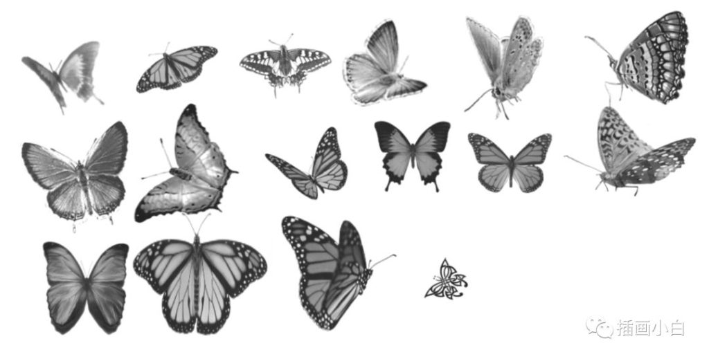 图片[1]-逼真的procreate蝴蝶笔刷【0109】-procreatechahua