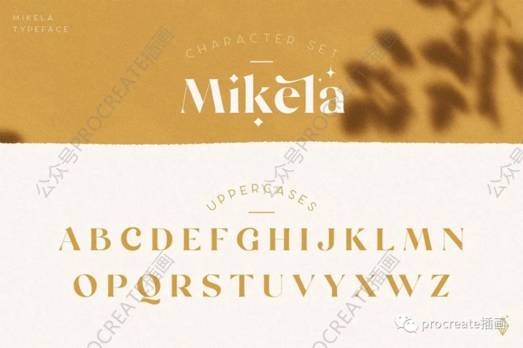 图片[12]-时尚简约高端华丽优雅的Mikela Light英文字体【0451】-procreatechahua
