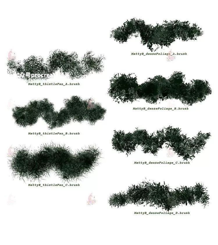 图片[2]-91款自然植被植物草坪树木园林procreate笔刷【001】-procreatechahua