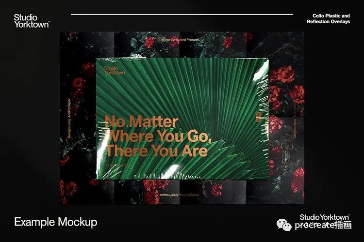 图片[18]-透明真空压缩薄膜样机素材合集【0199】-procreatechahua