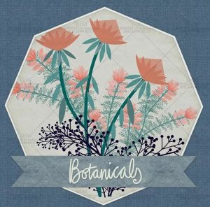 119款手绘自然植被花边形状procreate笔刷【005】-procreatechahua