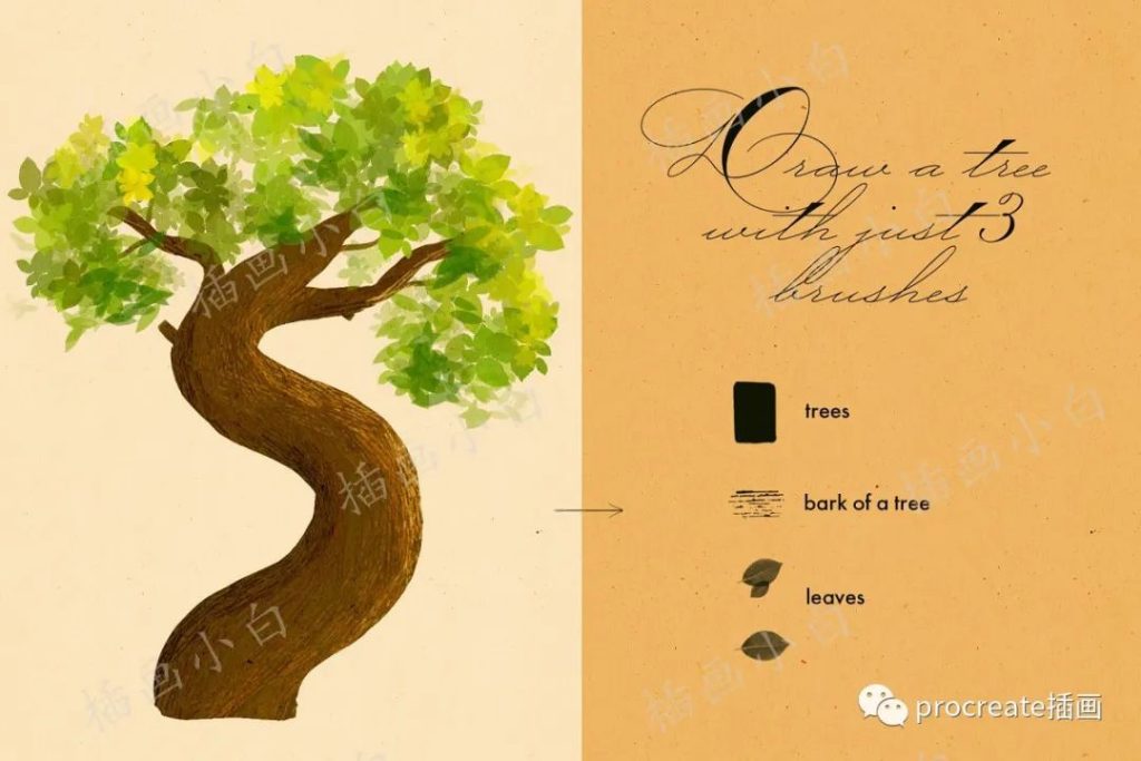 图片[2]-34款森林植物叶子元素ps笔刷【0182】-procreatechahua