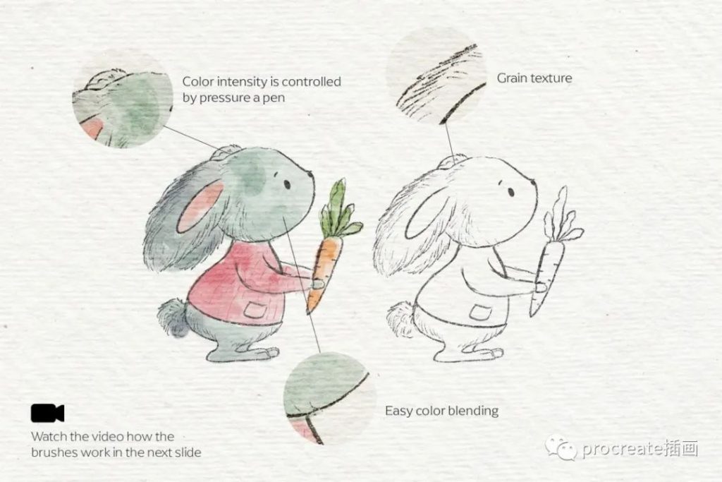 图片[1]-高品质手绘水彩素描Procreate笔刷大集合【0194】-procreatechahua