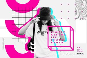 美学设计ps笔刷【0196】-procreatechahua