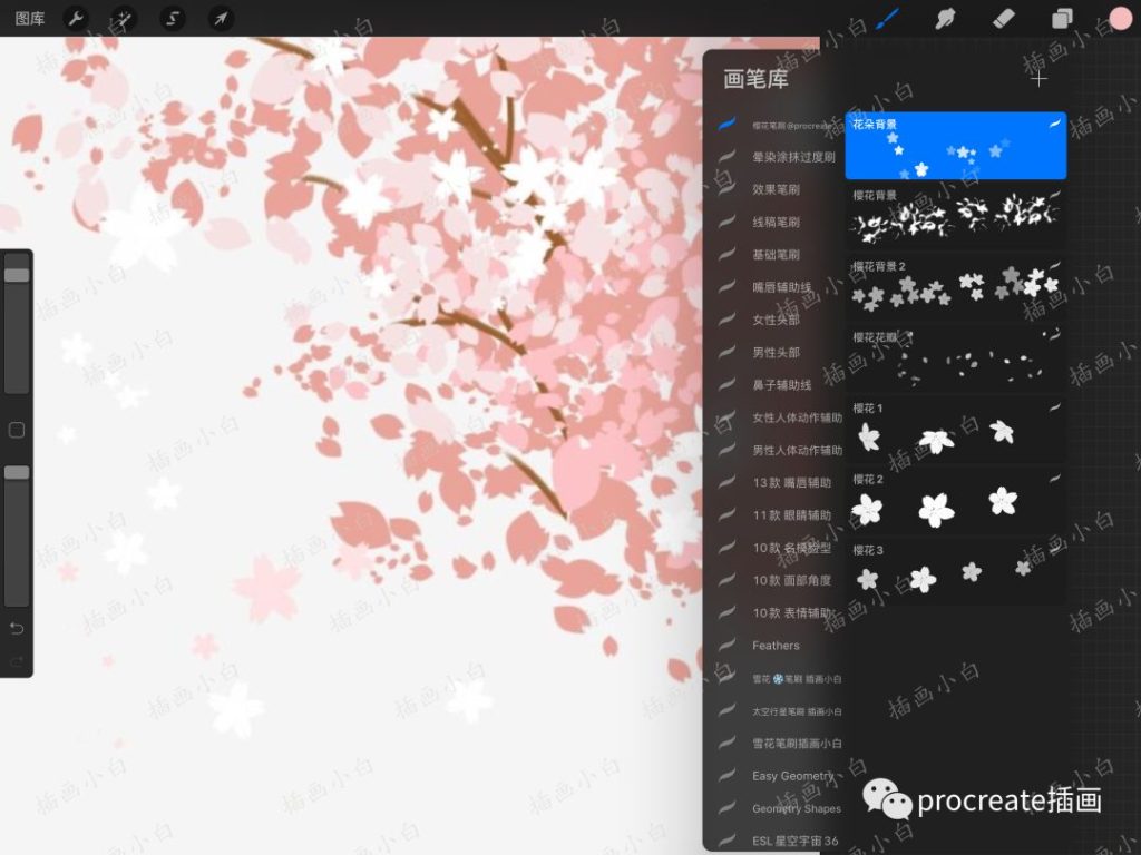 图片[3]-5款procreate樱花笔刷【0124】-procreatechahua