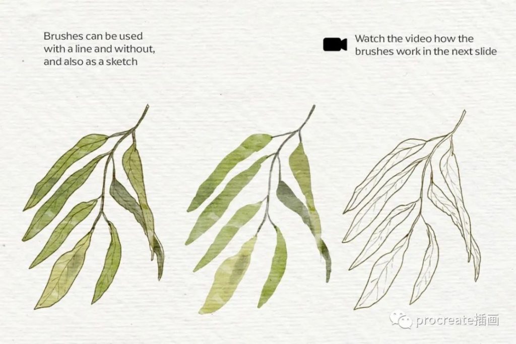 图片[3]-高品质手绘水彩素描Procreate笔刷大集合【0194】-procreatechahua