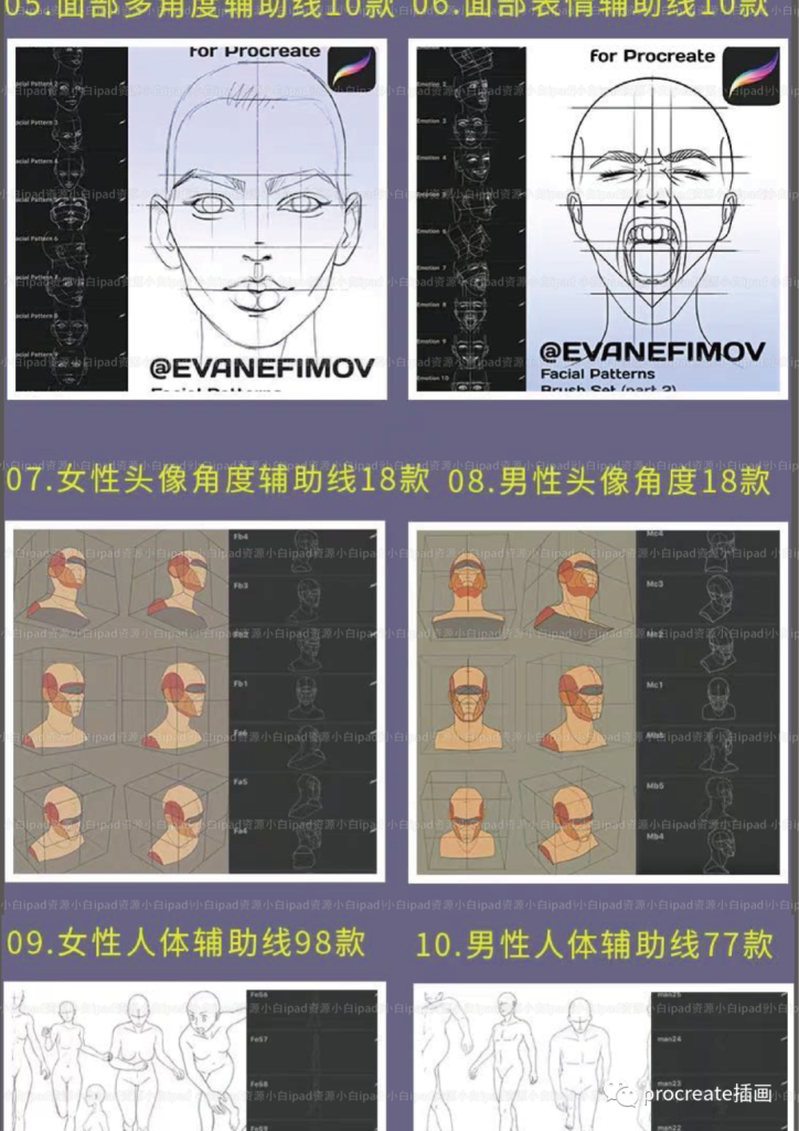 图片[3]-全套Procreate人像辅助线笔刷【0210】-procreatechahua