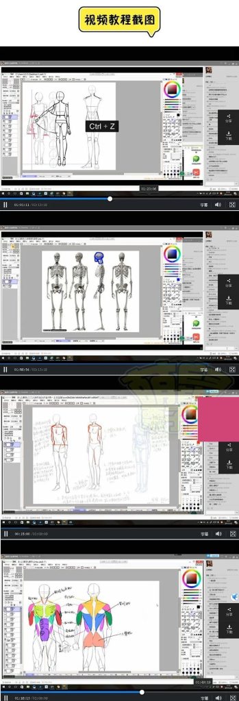 图片[3]-SAI人体基础强化提升训练教【0247】-procreatechahua
