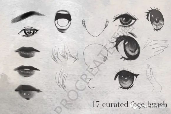 图片[1]-日式漫画风格的精致手绘肖像procreate笔刷【0394】-procreatechahua