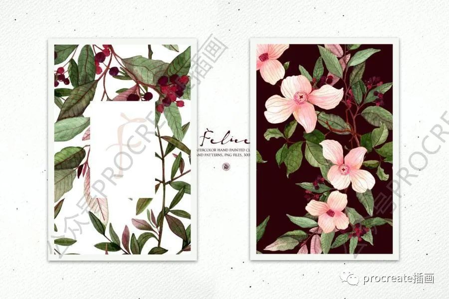 图片[3]-水彩艺术绘画风格的植物花卉主题PNG插画素材【0422】-procreatechahua