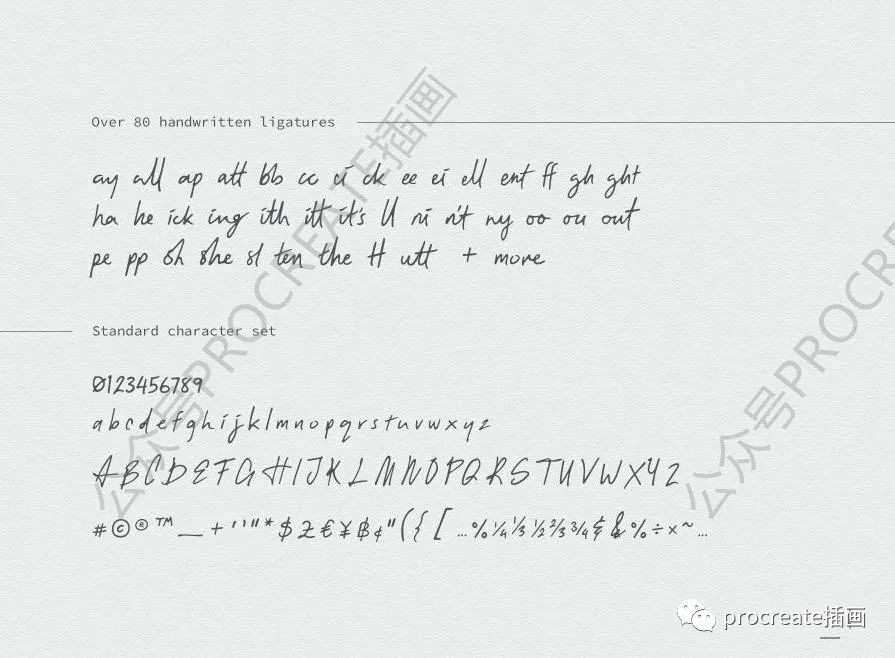 图片[3]-超美且温暖的女性化现代英文手写字体【0431】-procreatechahua