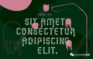 木材纹理效果的英文无衬线字体【0469】-procreatechahua