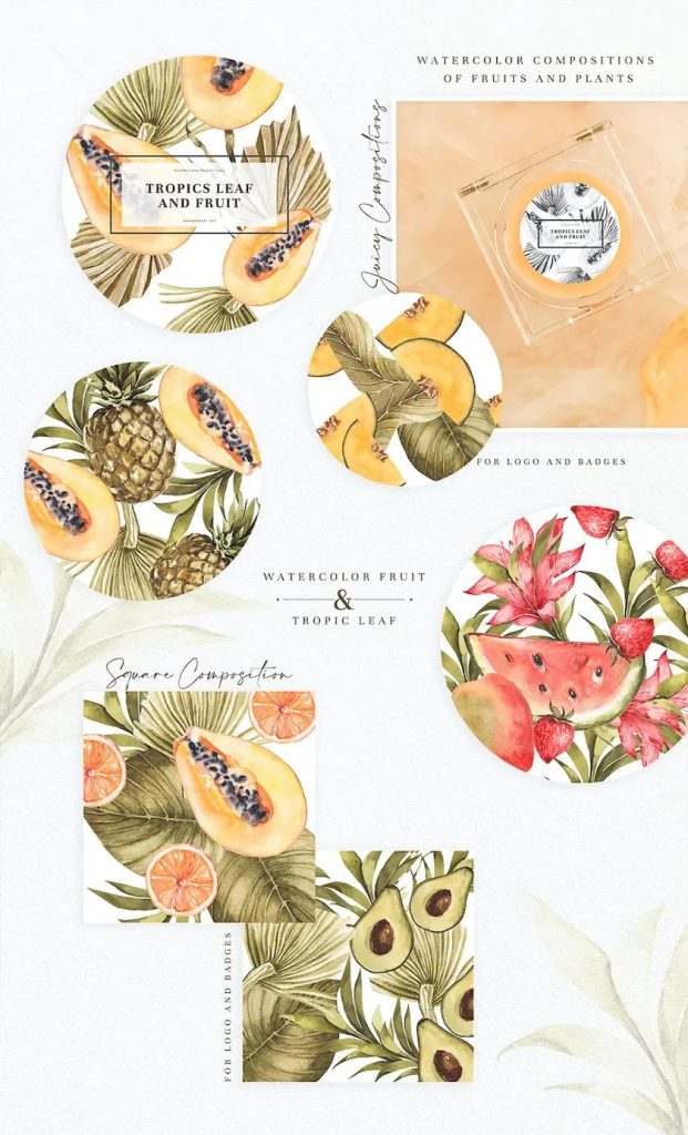图片[3]-热带水果和树叶的PNG水彩插画素材【0610】-procreatechahua