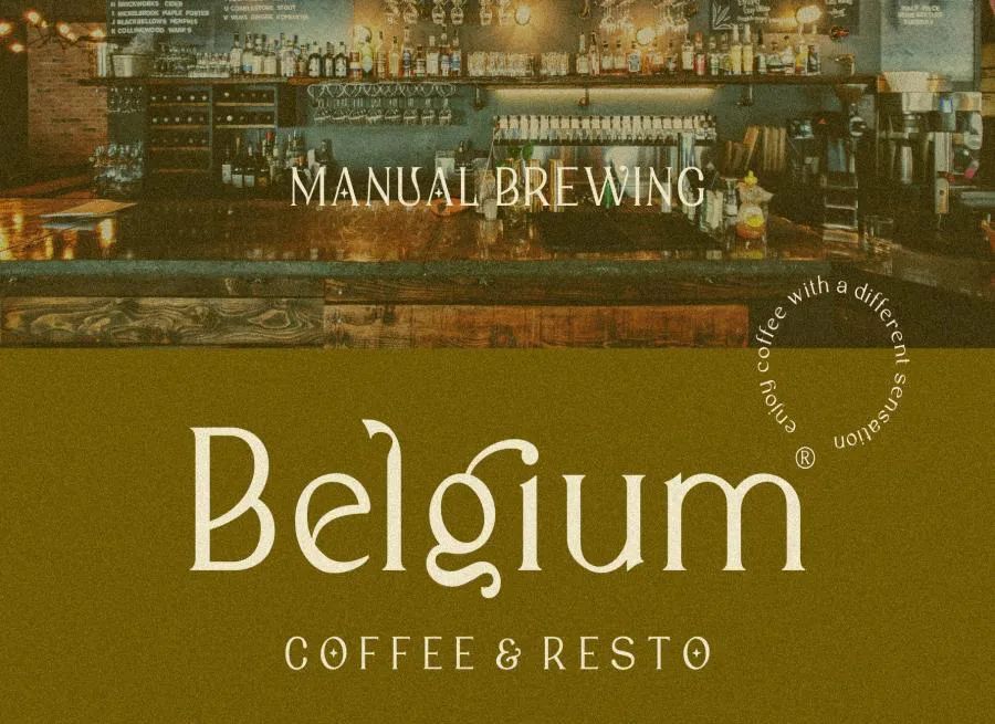 图片[3]-现代优雅的英文衬线字体【0632】-procreatechahua