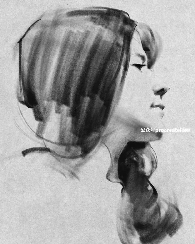 图片[3]-44种艺术大师级碳笔碳粉铅笔素描的Procreate笔刷【0718】-procreatechahua