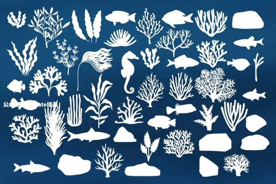 图片[3]-80款海底世界海洋生物海藻类图案Procreate笔刷【0807】-procreatechahua