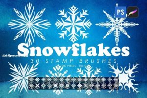 冬季主题雪花图案PS和Procreate笔刷【0814】-procreatechahua