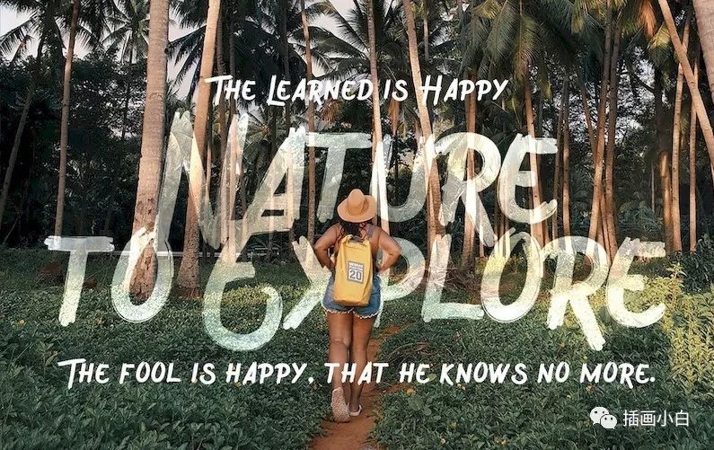 图片[3]-充满艺术感的英文手写装饰字体【0079】-procreatechahua