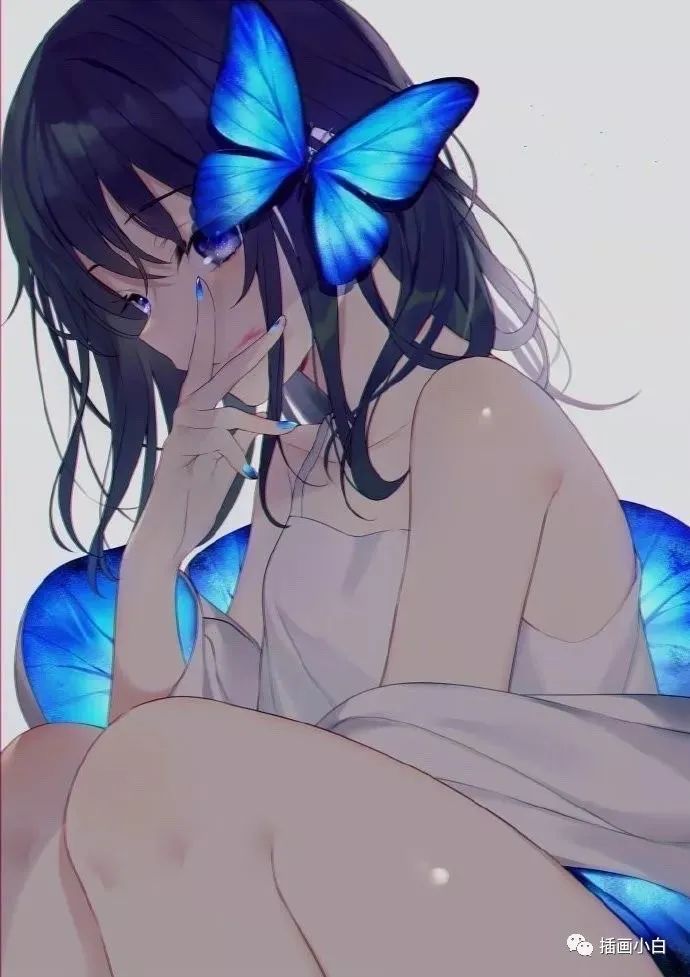 逼真的procreate蝴蝶笔刷【0109】-procreatechahua