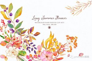 时尚简约清新手绘水彩水墨水粉植物花朵花卉插画大集合​【0234】-procreatechahua