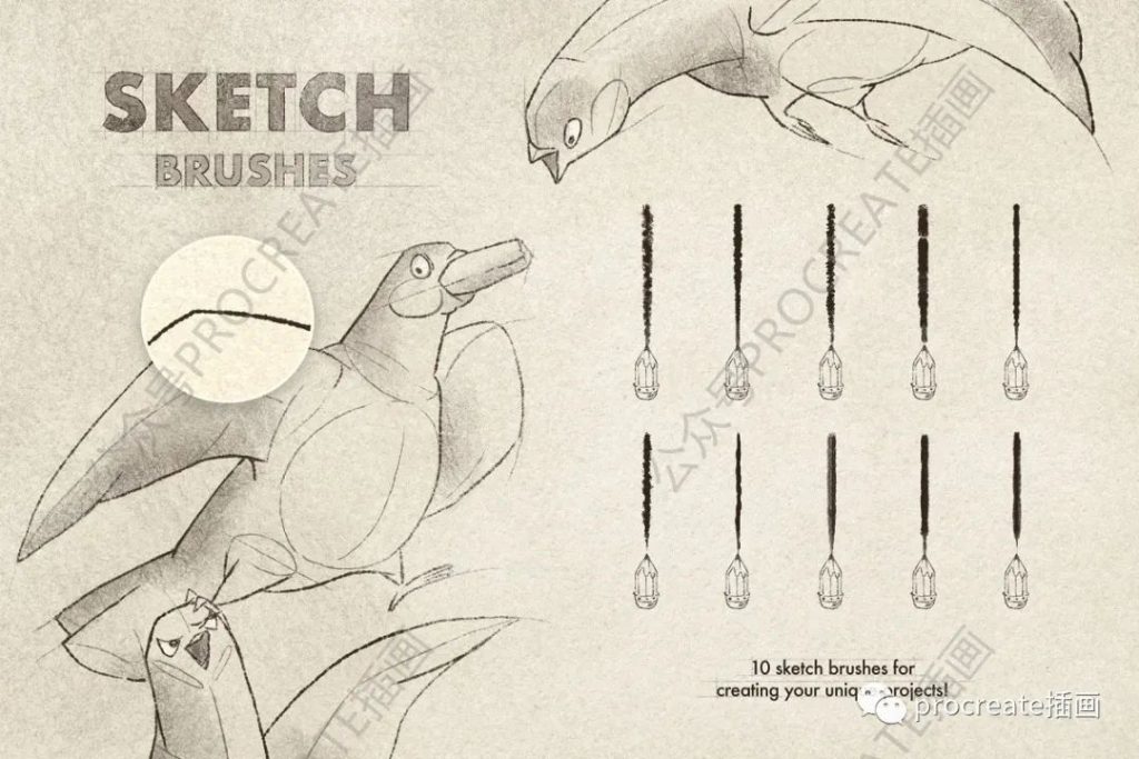图片[1]-61款铅笔素描绘画Procreate笔刷【0310】-procreatechahua