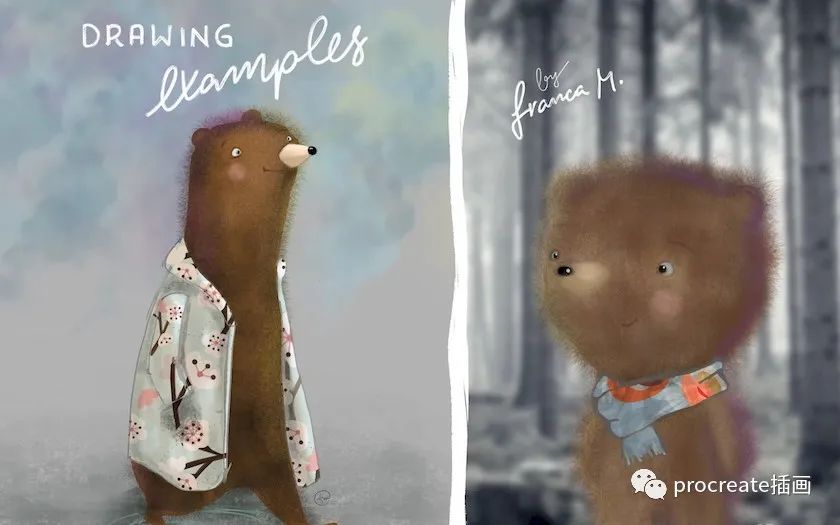 图片[4]-10款动物毛皮羽毛绒毛的procreate笔刷【0142】-procreatechahua