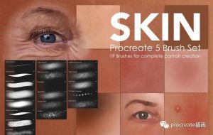 19款人像插画专用的逼真质感皮肤Procreate笔刷【0213】-procreatechahua
