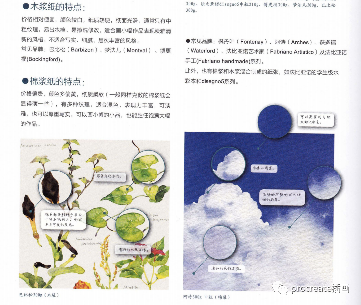 图片[4]-清新少女水彩插画手绘教程【0295】-procreatechahua