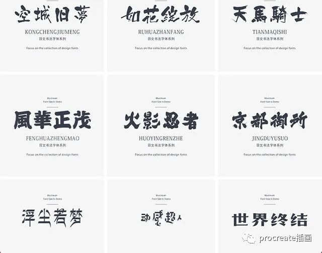 图片[3]-300款设计师专用中英文字体【0287】-procreatechahua